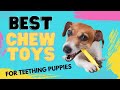 Best Puppy Chew Toys for Teething