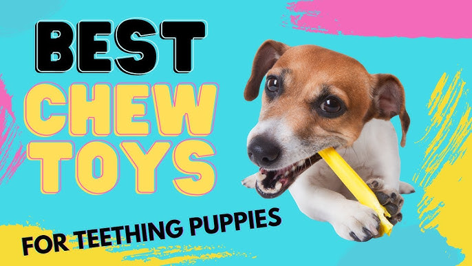 Best Puppy Toys to Keep Them Busy 