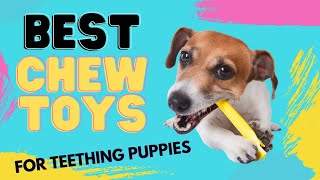 Best Puppy Chew Toys for Teething