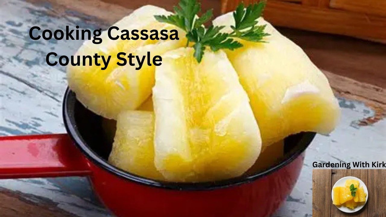 Cooking Cassava Country Style | Harvesting Homegrown Cassava ...
