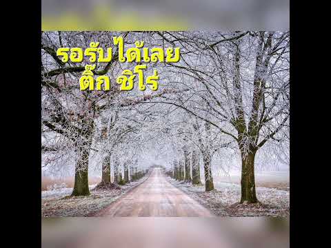 รอรับได้เลย - ติ๊ก ชิโร่