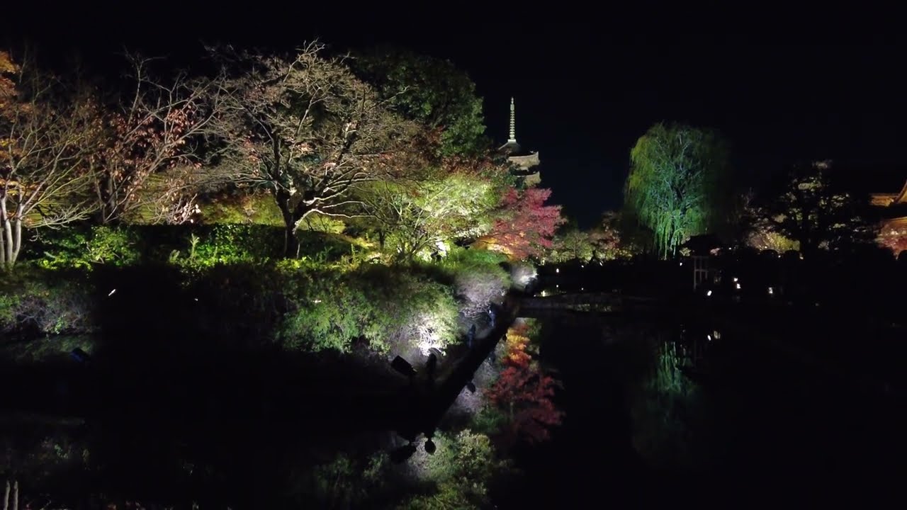 22 京都の絶景紅葉 東寺 ライトアップ 22 Superb View Of Autumn Leaves In Kyoto Light Up At Toji Temple Youtube