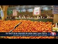 העגבניות מגיעות לבג"ץ חקלאים עתרו נגד הייבוא מטורקיה