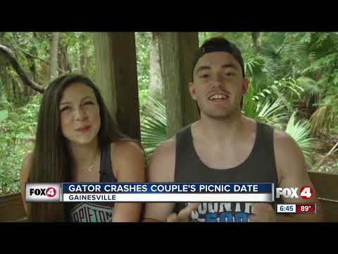 Guacamole-loving gator crashes couple's date by Florida lake