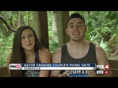 Gator Crashes Florida Couple' Date