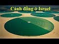 Israel nghèo tài nguyên tại sao vẫn giàu  - Tại sao Mỹ ưu ái Isreal ?