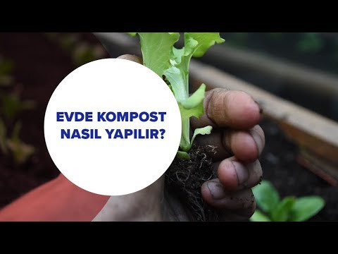 Video: Kompost yığınlarım alov alacaq?