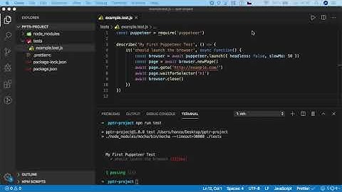 Automated  Software Testing with Puppeteer - 2.3. Launch Options