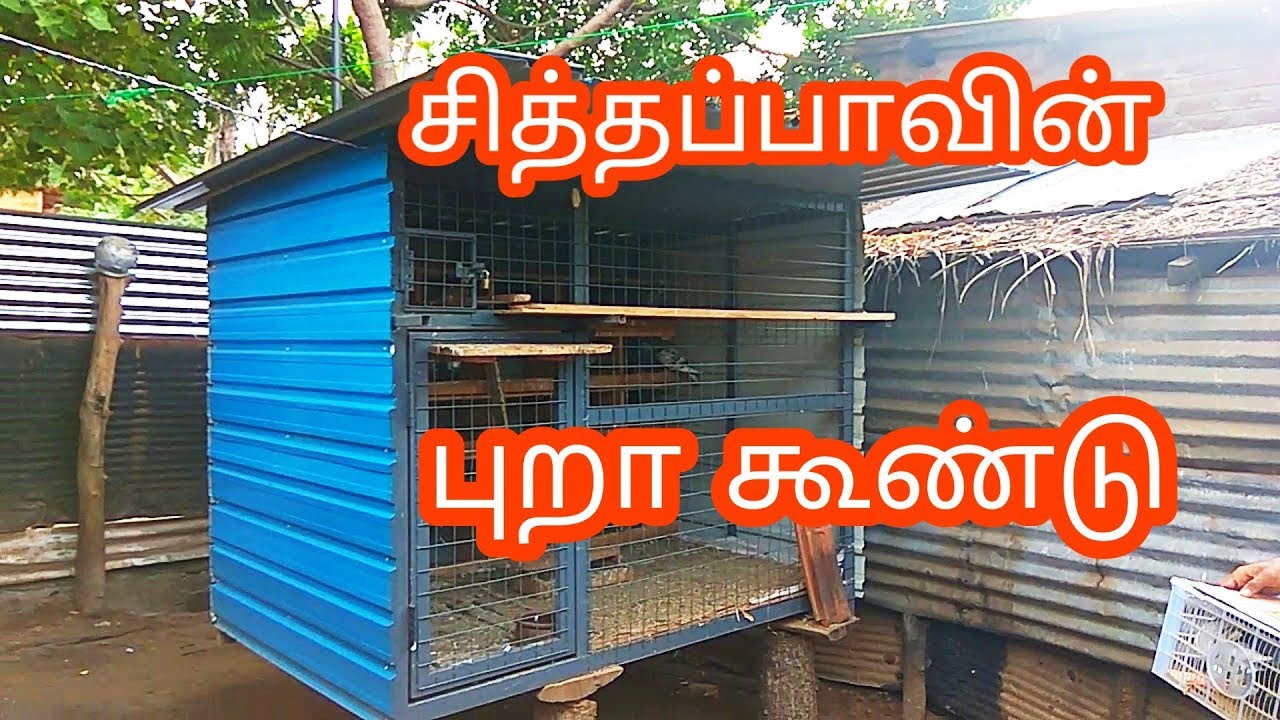 சித்தப்பாவின் புறா கூண்டு