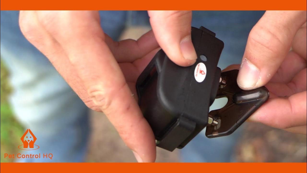 Pet Control HQ Short Loop Test Troubleshooting Your Dog Fence System