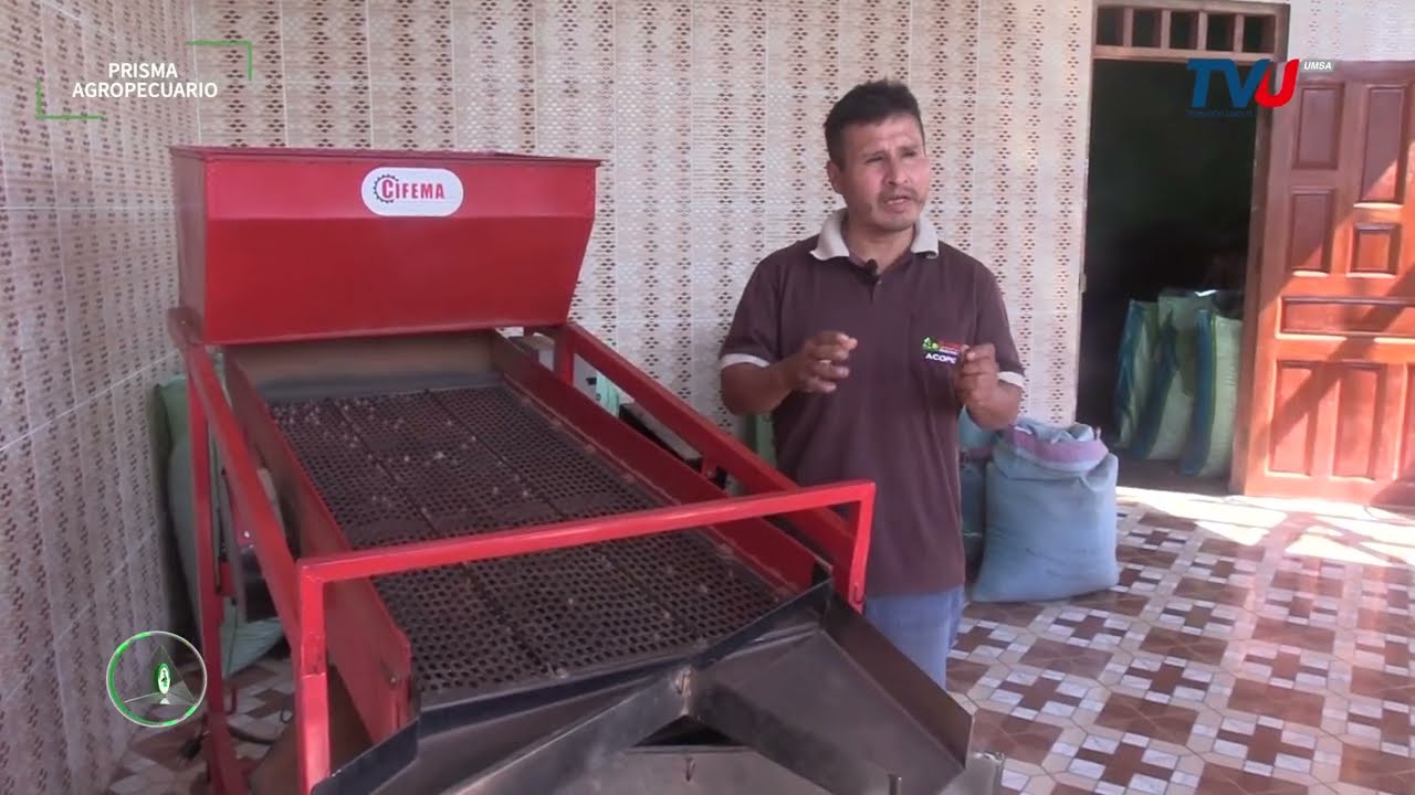 Proceso del Beneficiado del Grano de Cacao La Paz - Alto Beni