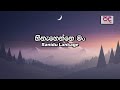 Hinahenne mung nil nayaniye  ranidu  lyrics  pada pela