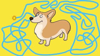 1 Minute Timer 💣 Cute Corgi Countdown ⏲ Cartoon with Explosion 💥