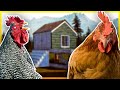 My Chickens Revolted And Almost Killed Me - Building A Chicken Empire - Ranch Simulator