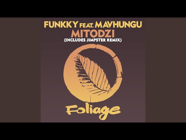 Watch Funkky Feat.Mavhungu - Mitodzi (Jimpster Remix) on YouTube