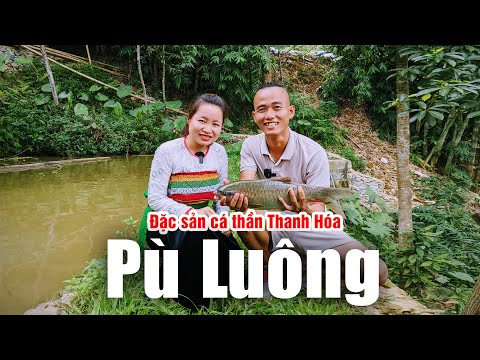 Video Đặc sản cá thần Thanh Hóa ở bản Đôn, Pù Luông - Món ăn... - youtube