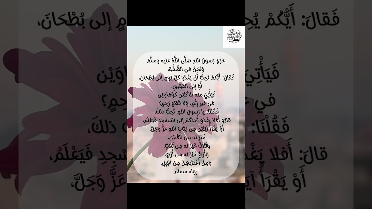 أيكم يحب أن يغدو إلى بطحان شرح#حديث_شريف لفضيلة الشيخ#حسن_بخاري#رواه_مسلم#لايك#ترند#اكسبلور#القرآن