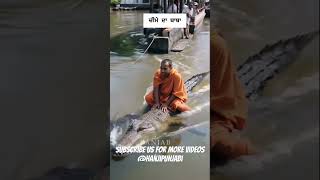 Young G.o.a.t Cheema Y Gur Sidhu New Punjabi Song 2025