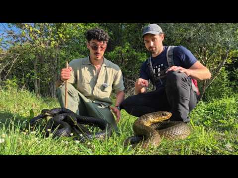 THE SNAKE TRAIL!