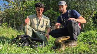 IL SENTIERO DEI SERPENTI!