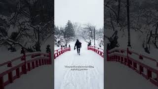 Why Japanese Winters Are Magical.