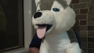 Saluton! Mia Enkonduko