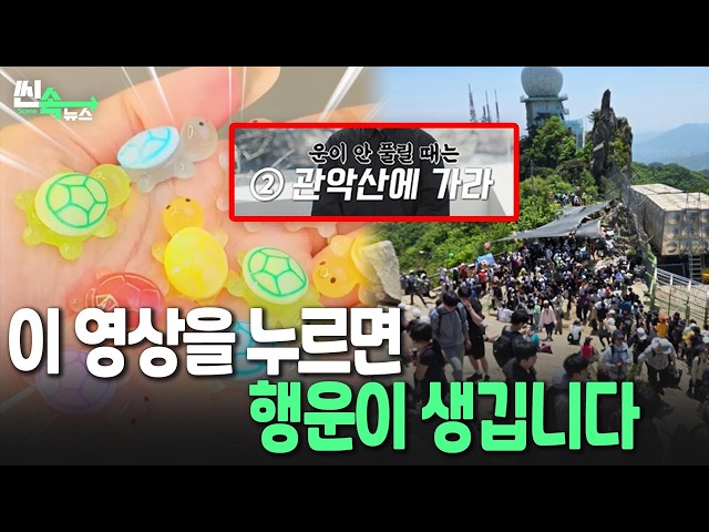 “용기를 북돋아주는 것 같아요”…Z세대 열광시킨 ‘행운 거북이’｜그런데 이게 '럭키비키' 아니 ‘럭키맥싱’이라고요? [씬속뉴스] / 연합뉴스TV (YonhapnewsTV)