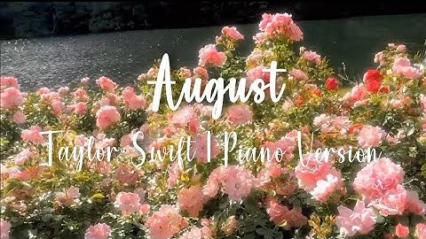 Thumbnail of Taylor Swift - August (1 Hour Piano Version) | Relaxing & Soothing Instrumental Music