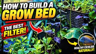 How To Build A Grow Bed || The Best Filter For Planted Cichlid Tanks