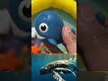 Underwater Animals for Kids: Sea Animal Names, Toy Creatures &amp; Fun Learning