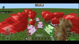 Axolotls In Minecraft PE (MOD/Addon) screenshot 3