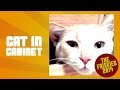 Funny Cat Hides in Cabinet - The Friskies Awards 2014