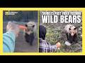 Men spark outrage by hand-feeding B.C. grizzly bears in social video | #canadianwildlife