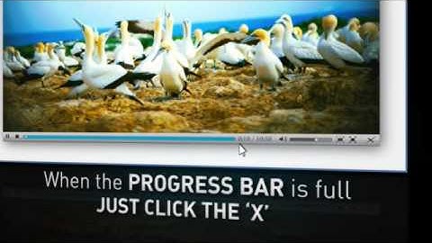 DivX Plus Software - DivX Plus Web Player 2/3