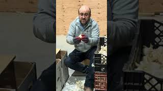 Download Lagu I Finally Figured Out What 6-7 Means MP3