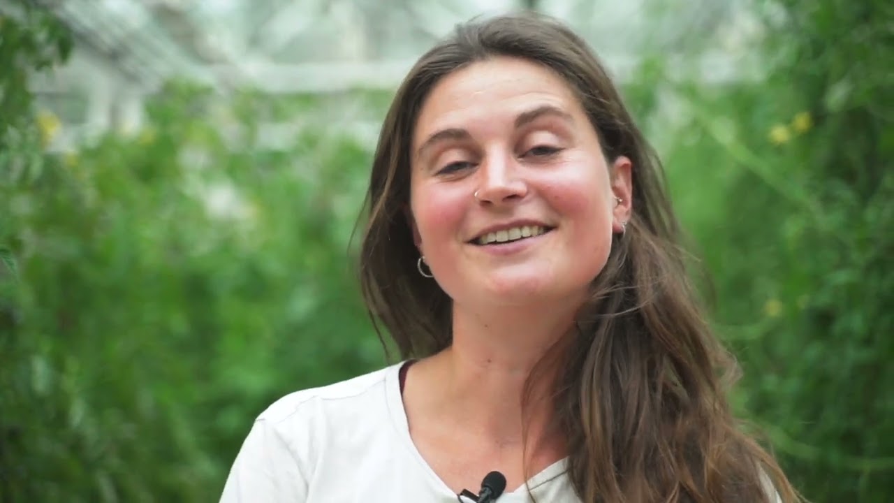 Foodcamp x Rerooting the Dutch Food System