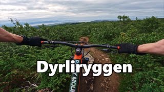 Dyrliryggen, Bodø, Norway A Singletrack Classic Gopro Labs