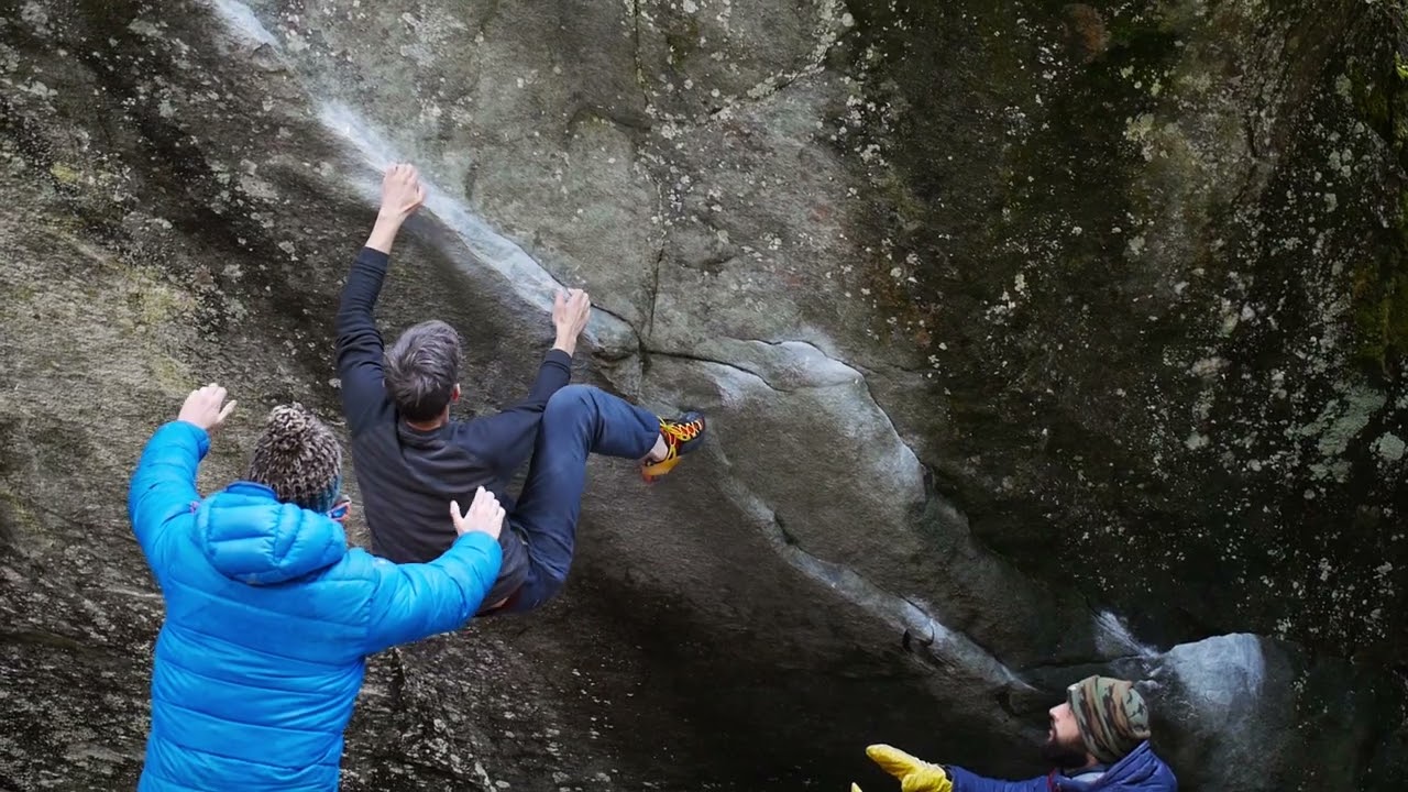 More Magic Wood (2018)