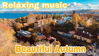 Beautiful Autumn and Relaxing Music @Nature and life Vietnam screenshot 5