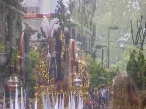 Pontificia y Real Hermandad del Santísimo Sacramento y Cofradía de Nazarenos de Nuestro Padre Jesús en su Soberano Poder ante Caifás, Nuestra Señora de la Salud y San Juan Evangelista