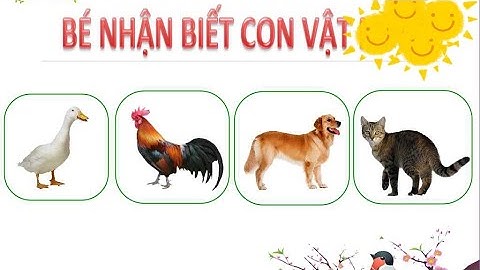 Con gì đây? 50 con vật quanh bé, giúp bé đọc tên các con vật qua hình, bé học online, thông minh sớm