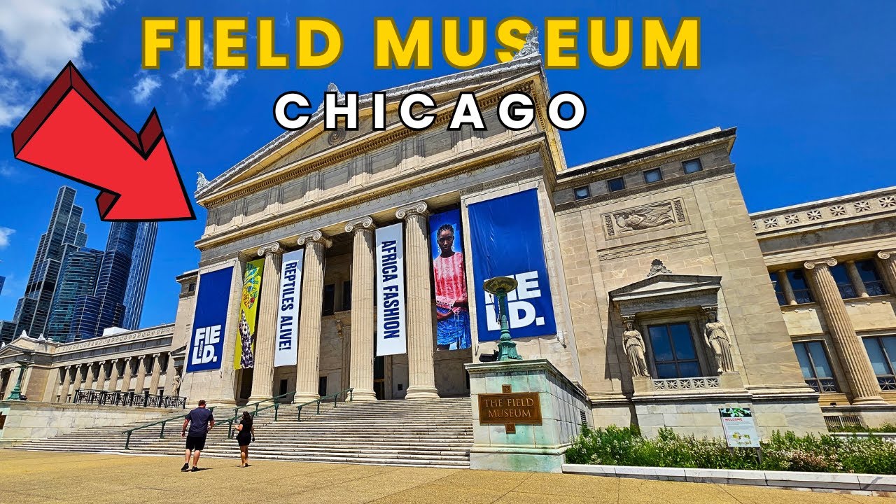 Field Museum Chicago Illinois Virtual Tour