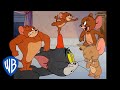 Tom und jerry auf deutsch   jerry in voller strke   wb kids