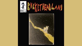 Buckethead - in a