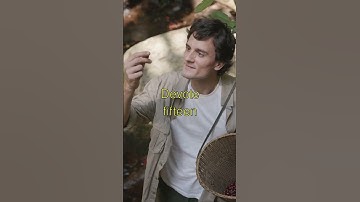 HOW TO MASTER Success principles from world-class performers | Life-Changing Advice