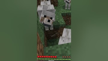 Taming A Dog In Minecraft (Gone wrong) #shorts