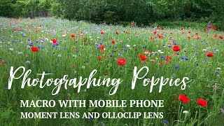 MACRO Photography in a Poppy Field | with Moment Macro Lens &amp; Olloclip Macro Lens for Smartphone