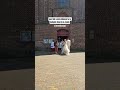 Catholic church wedding in the Netherlands #netherlands #wedding #happymoments #marriage #zwolle