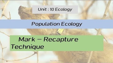 Mark Recapture Method for Population Size Estimation