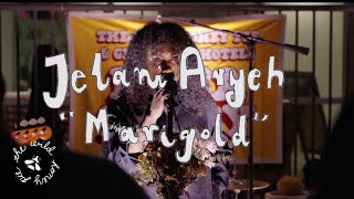 Jelani Aryeh - Marigold | The Wild Honey Pie Pizza Party